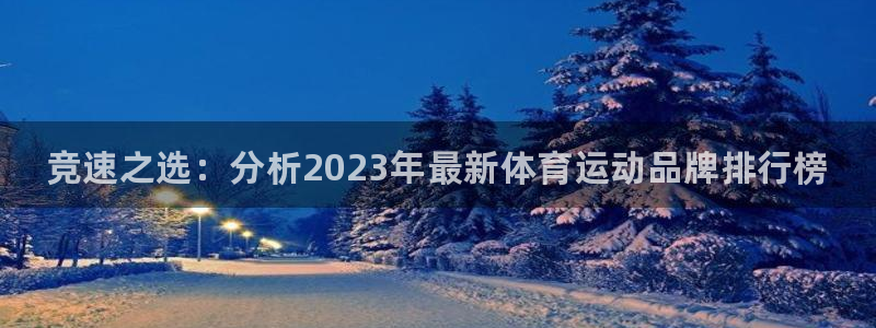 米兰体育官方正版app五金厂：竞速之选：分析2023