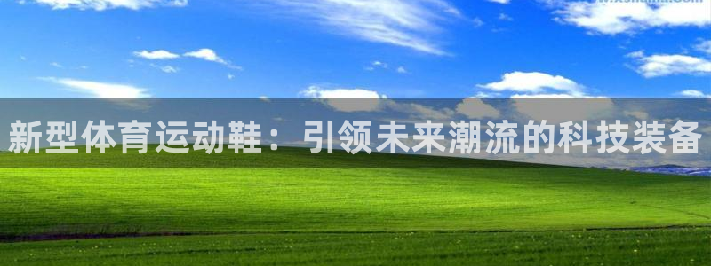 米兰体育官方集团官网：新型体育运动鞋：引领未来潮流的