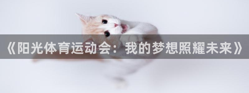 米兰体育官方正版app集团官网首页：《阳光体育运动会