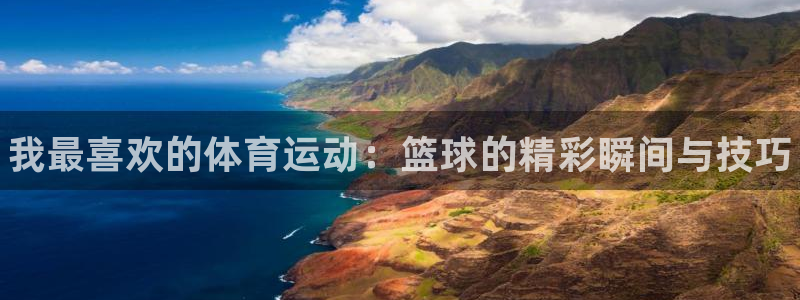米兰体育官方正版app集团：我最喜欢的体育运动：篮球