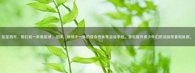 米兰体育官方正版app官网