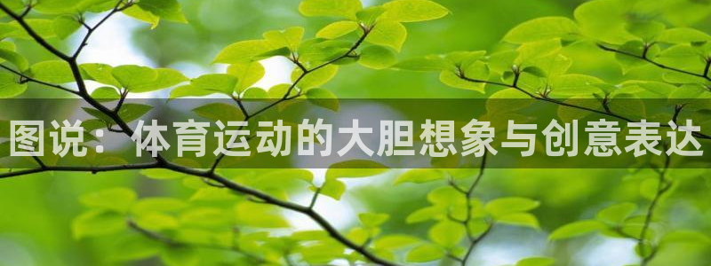米兰体育官网下载招商电话是多少号码：图说：体育运动的大胆想象