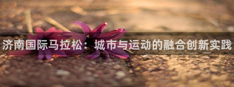 米兰体育官方正版app娱乐首页网站大全