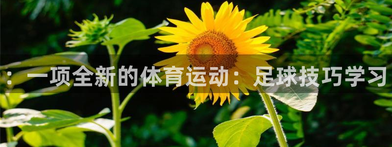 米兰体育官方正版app娱乐：：一项全新的体育运动：足球技巧学