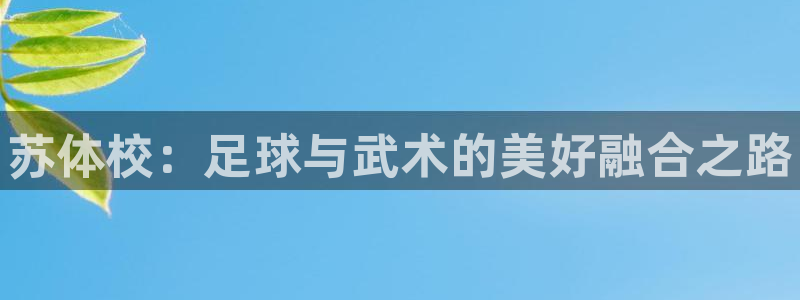 米兰体育官方平台体育：苏体校：足球与武术的美好融合之路