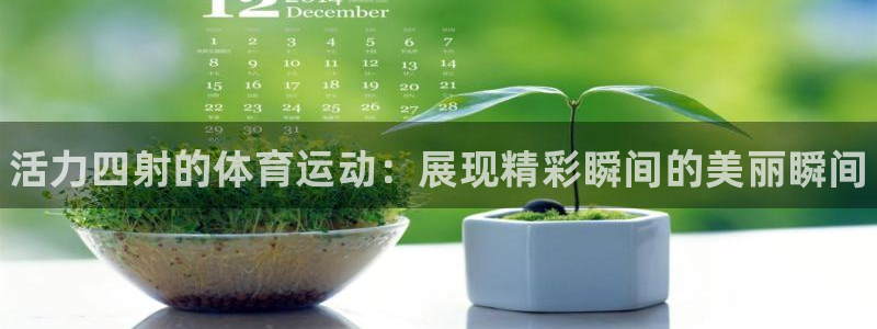 米兰体育官方正版app集团官网首页网址：活力四射的体