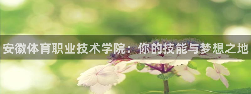 米兰体育官网下载平台注册流程图：安徽体育职业技术学院：你的技