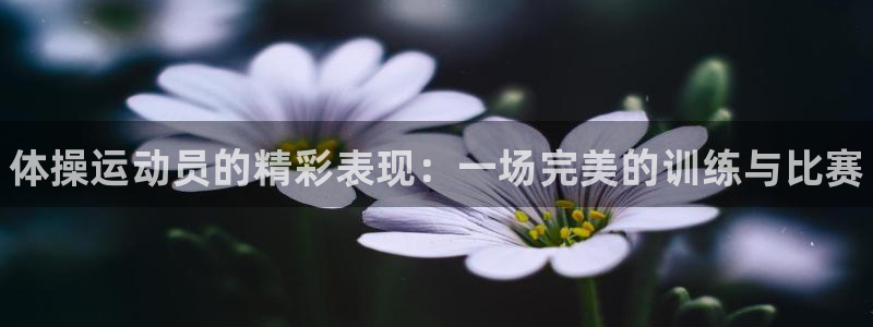 米兰体育官方正版app娱乐40996