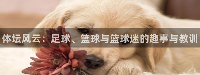 米兰体育官方正版app集团：体坛风云：足球、篮球与篮球迷的趣
