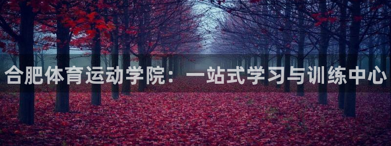 米兰体育官网下载平台注册要钱吗安全吗：合肥体育运动学