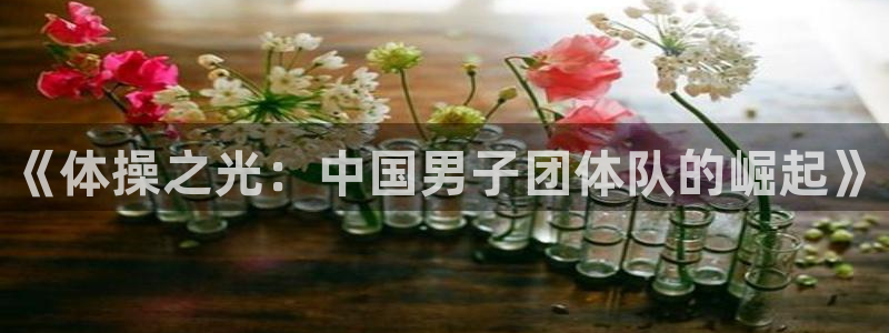 米兰体育官网下载联系电话：《体操之光：中国男子团体队