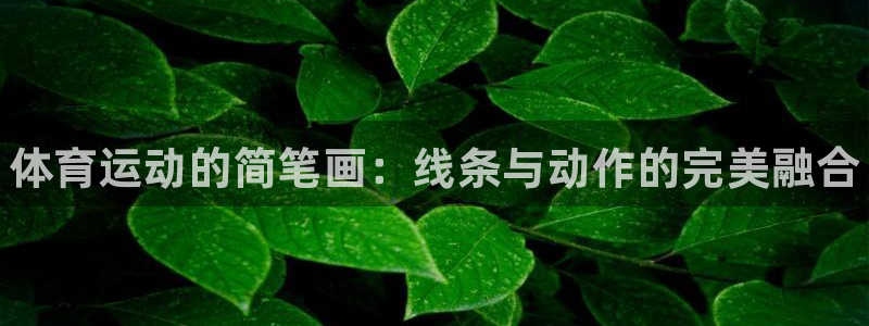 米兰体育官方正版app集团E.ON