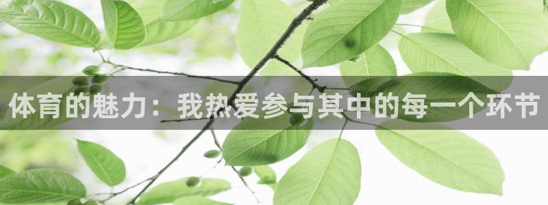  米兰体育直播在线观看：体育的魅力：我热爱参与其中的每一个环节