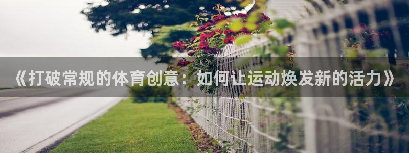 米兰体育登录：《打破常规的体育创意：