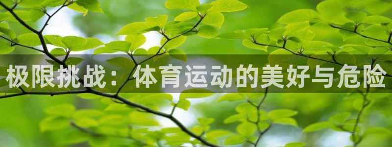  米兰体育网站赞助瓦伦西亚：极限挑战：体育运动的美好与危险