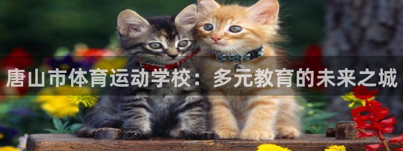 米兰体育报老板：唐山市体育运动学校：