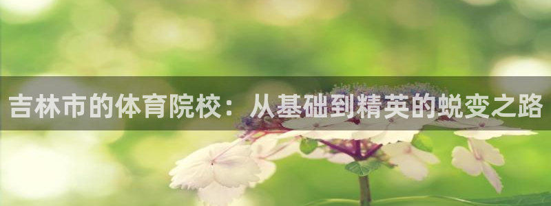 米兰体育买赛票可靠吗安全吗现在：吉林