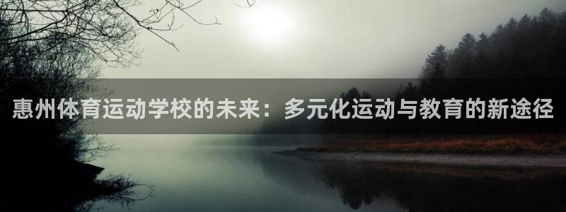  米兰体育能赚钱吗知乎：惠州体育运动学校的未来：多元化运动与教