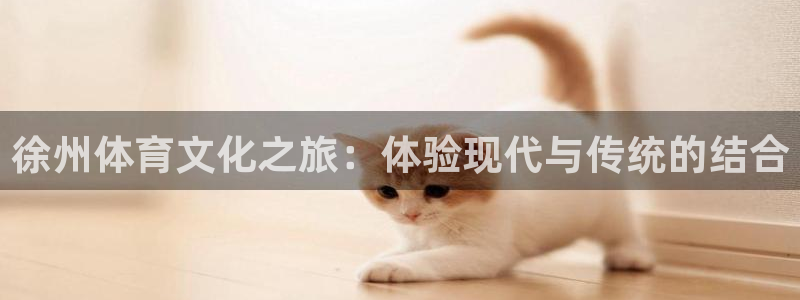  米兰体育报老板是谁：徐州体育文化之旅：体验现代与传统的结合