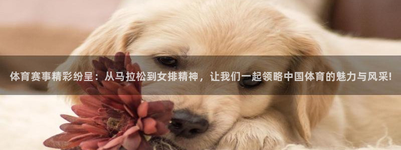  米兰体育软件怎么样：体育赛事精彩纷呈：从马拉松到女排精神，让