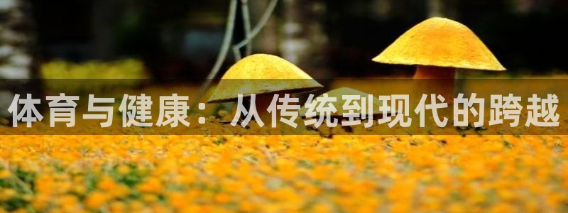  米兰体育怎么取款：体育与健康：从传统到现代的跨越