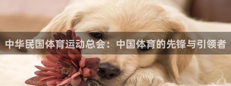 米兰体育官网在线下载app
