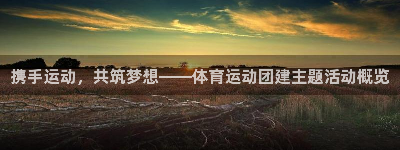 米兰体育取款审核慢：携手运动，共筑梦